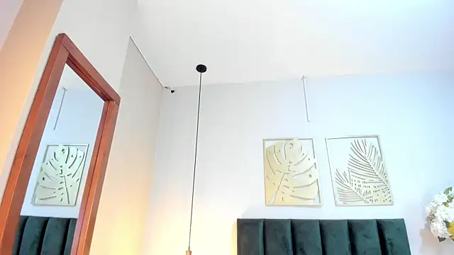 JupiteFox webcam