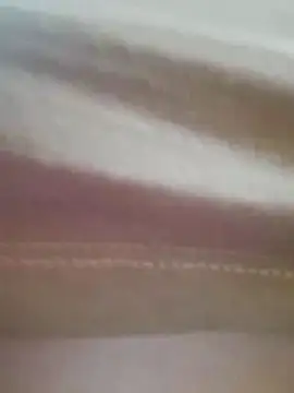 molymeneses webcam