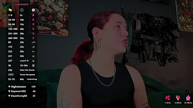 Serve_to_Alexa webcam