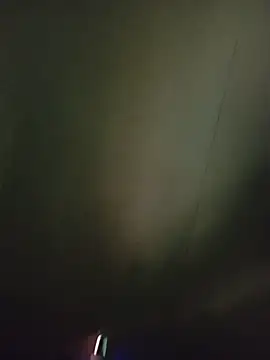 PleasantPassenger9 webcam