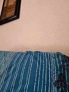 Sony28v webcam