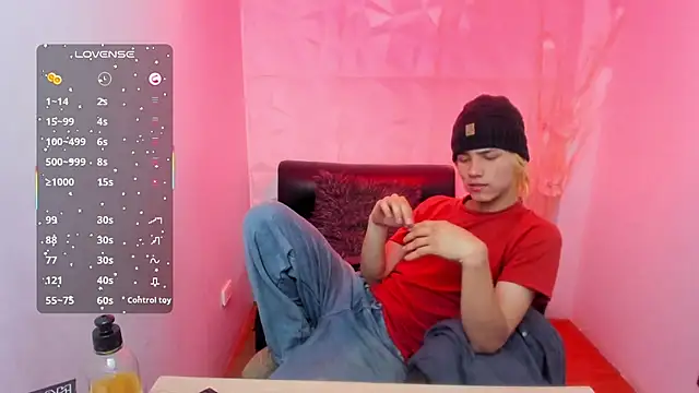 Stich_23 webcam