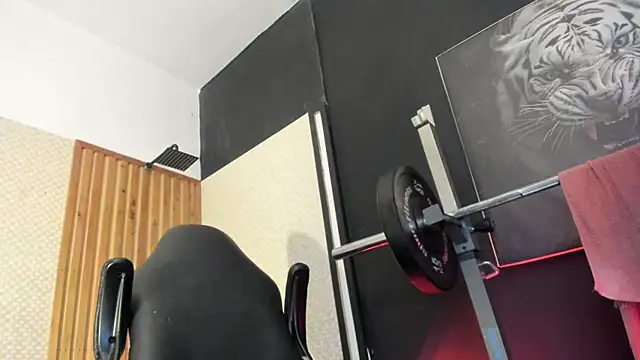 Yeidonn webcam