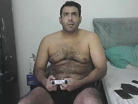 IronSideBear webcam
