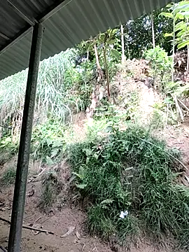 WeaklyMop webcam