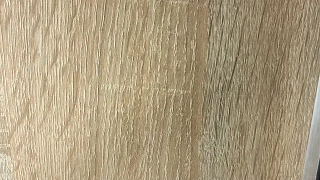 NoFace_Model webcam