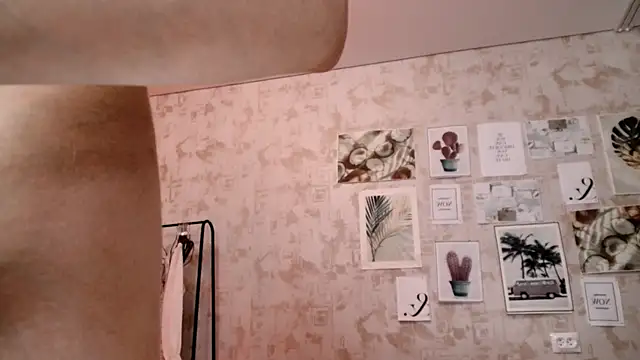 Luafy_Toddy webcam
