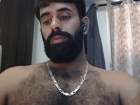 indianhairybull webcam