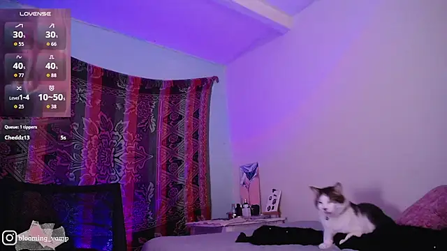dark__nymph webcam