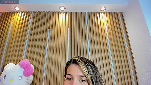 1Sloppy_Fox4 webcam