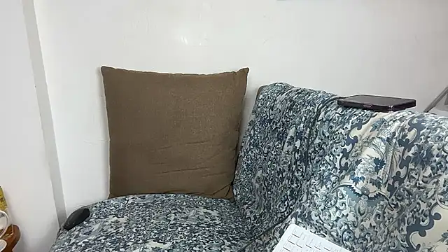 velvetvista webcam