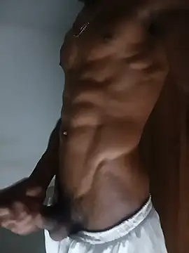 WolVID_XX77 webcam