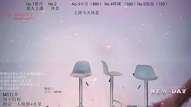 NEW-DAY webcam
