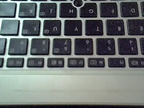 Delicious-D webcam