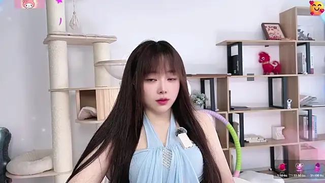 SakuraCat6 webcam