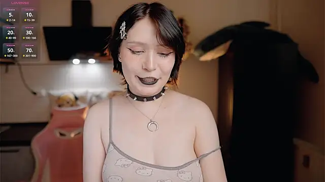 Nickari webcam