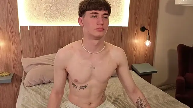 Vinsant_X webcam