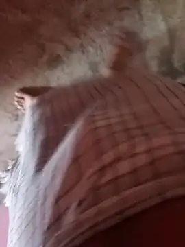 Yourhoy_ind_boy webcam