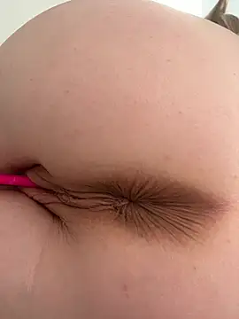 Anal_Top webcam