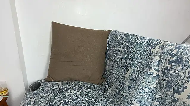 velvetvista webcam