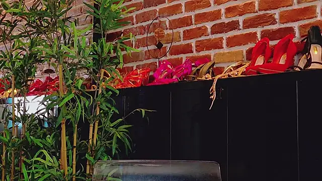 ivorym00n's live room