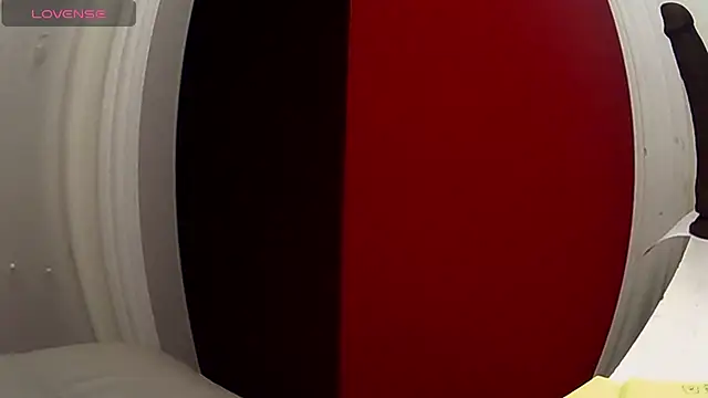 NaZtySar4h webcam