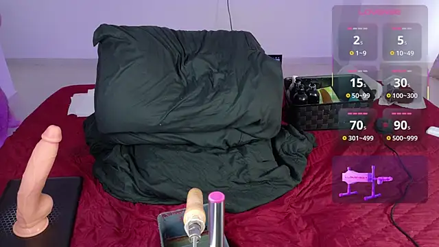 andreu_cavel webcam