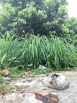 Naughty___asian webcam