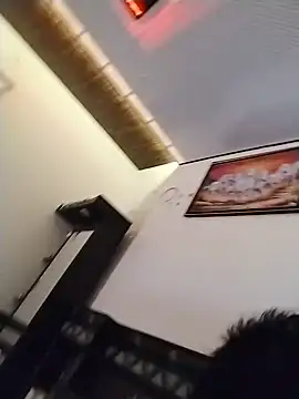 Wild_Vassu webcam