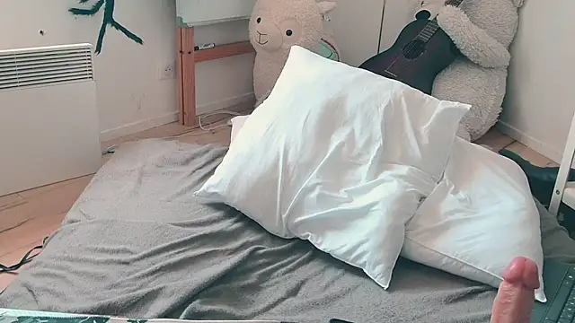 CeriseLapine webcam