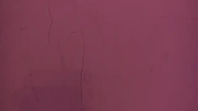 Mia_Tailor_Bms webcam