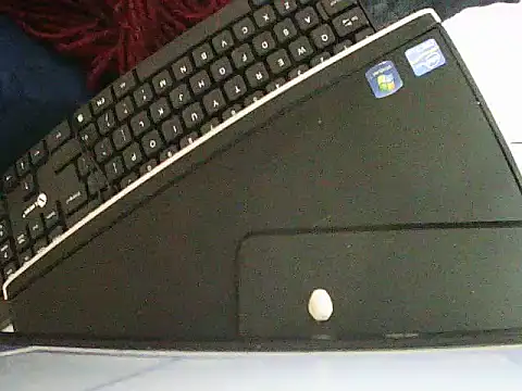 MEOWO1 webcam