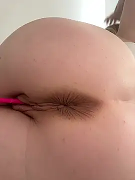 Anal_Top webcam