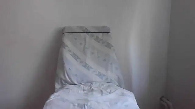 fl3xxx1 webcam