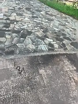 YELURK webcam