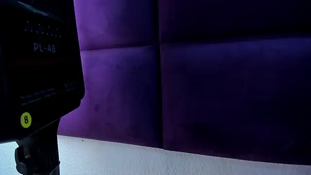 1Sloppy_Fox4 webcam