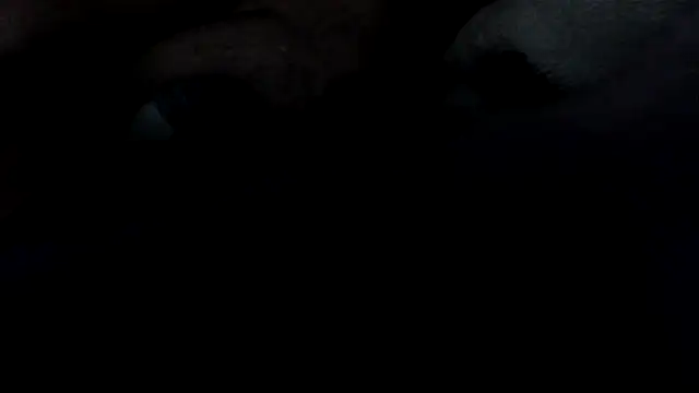 chased21 webcam