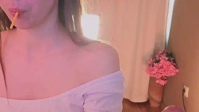 Alice-Lidel webcam