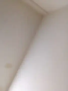 borisymily1 webcam