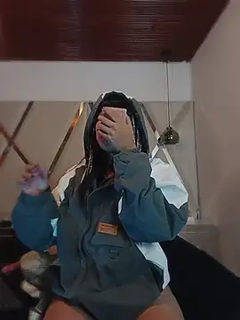 MeelFox webcam