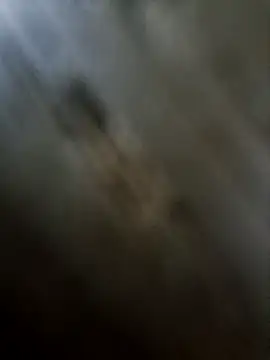 EchoVibe_86 webcam