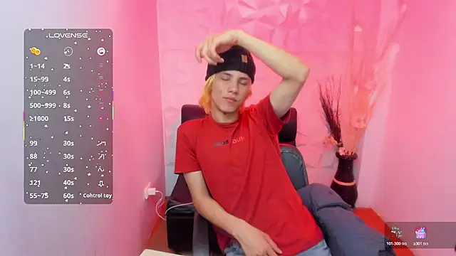 Stich_23 webcam