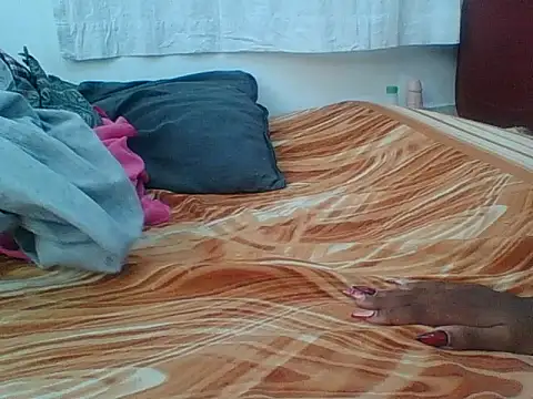 Nasty_petitee webcam