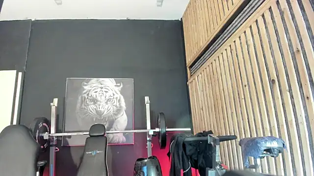 Yeidonn webcam
