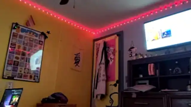 LordSpunFun webcam