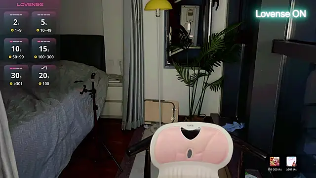 xiaosu22 webcam