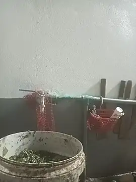 nangmo webcam