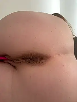 Anal_Top webcam