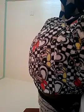 meshje webcam