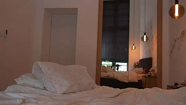 ibiddi webcam